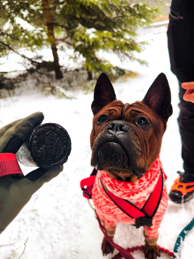 Moli, Chongqing Dog, z pieczątką na szczycie Czernicy w Górach Bialskich